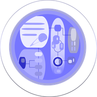 web analytics